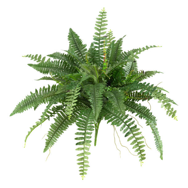 Gracie Oaks 12'' Faux Fern Plant in Basket & Reviews Wayfair
